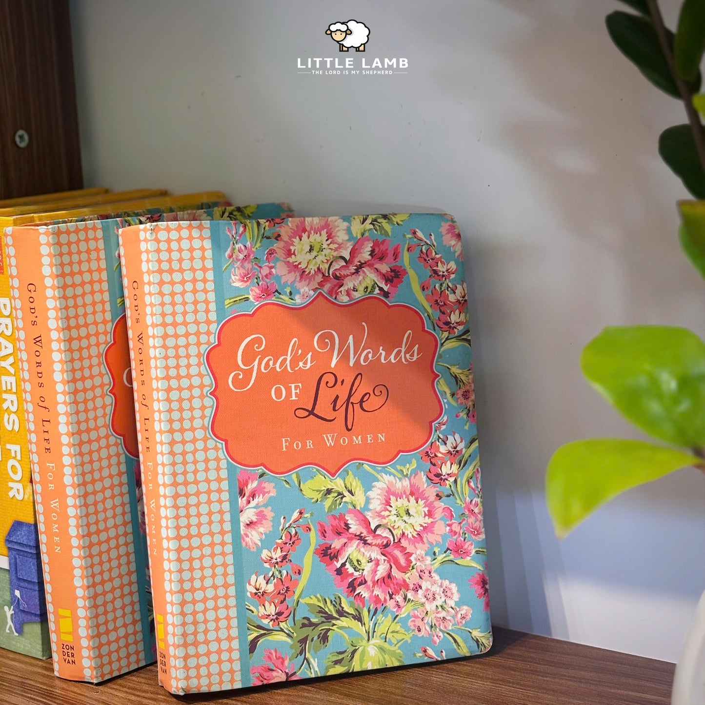 God’s Words of Life for Women  Books